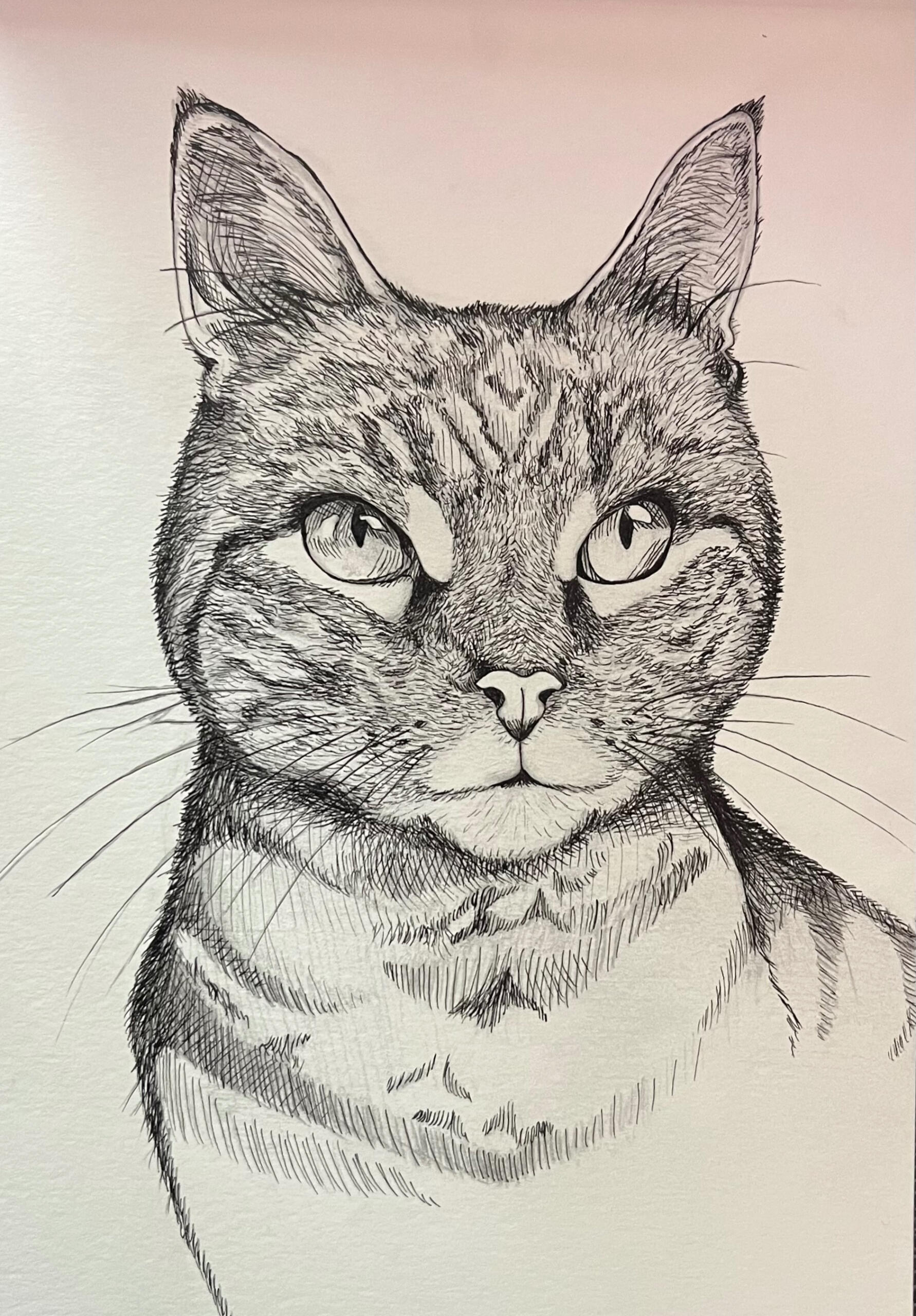 Alameda Neurodiverse Tutoring logo by scarlett jane